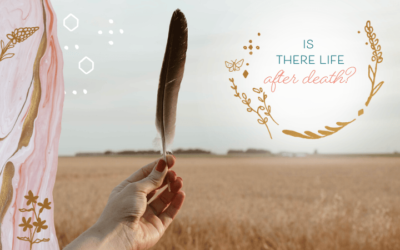 Is There Life After Death?