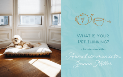 What Is Your Pet Thinking? Interview with Animal Communicator and Pet Psychic Jeanne Miller