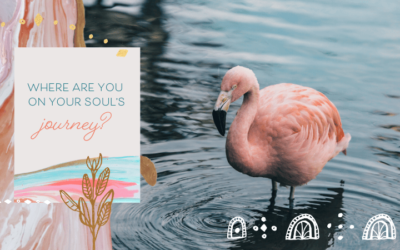 Where Are You On Your Soul’s Journey?