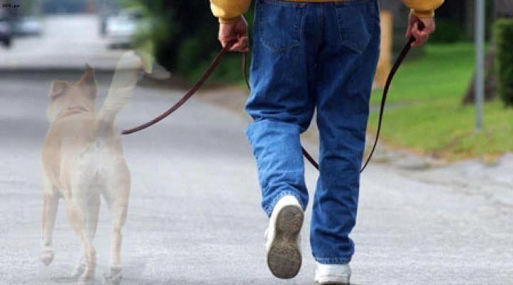 420117_508130462537838_2056858236_n