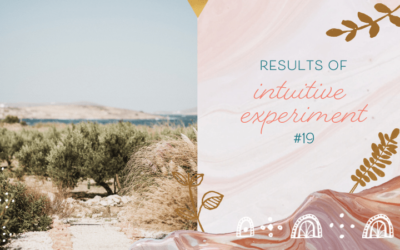 Results of Intuitive Experiment #19