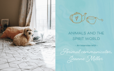 Animals & The Spirit World – Interview with an Animal Communicator