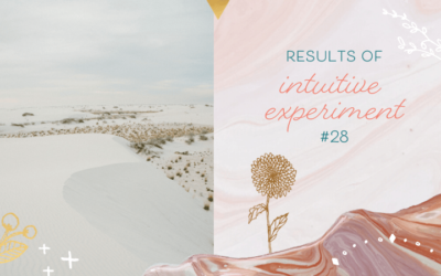 Who Was Mystery Person #28?