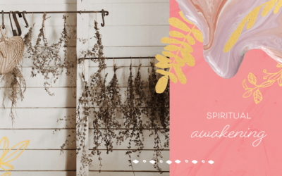 I’m Waking Up, Now What? Spiritual Awakening – Part Two