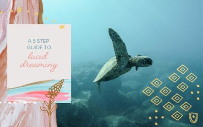 A 5-Step Guide To Lucid Dreaming