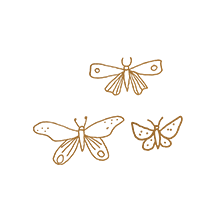 Your energy center of training