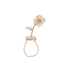 Your energy center of training