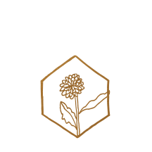 Your energy center of training