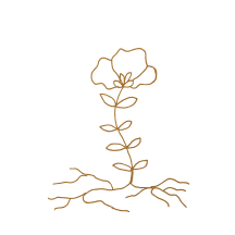 Your energy center of training