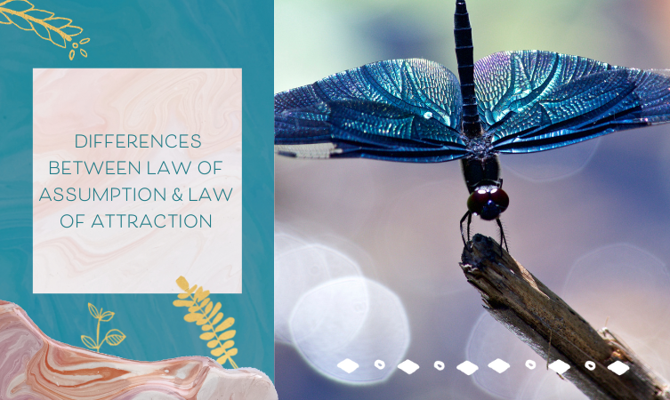 Why I Prefer the Law of Assumption to the Law of Attraction