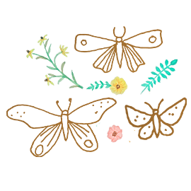 Your energy center of training