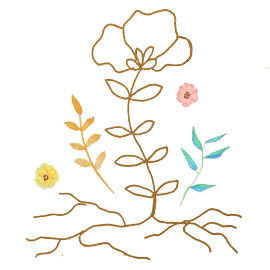 Your energy center of training