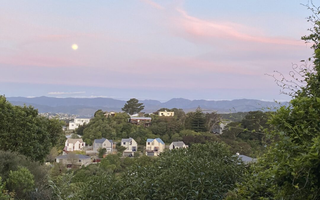 October Updates & Akashic Mini Reading FAQ’s