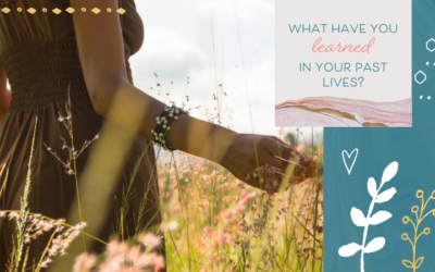 What Have You Learned in Your Past Lives?