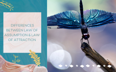 Why I Prefer the Law of Assumption to the Law of Attraction