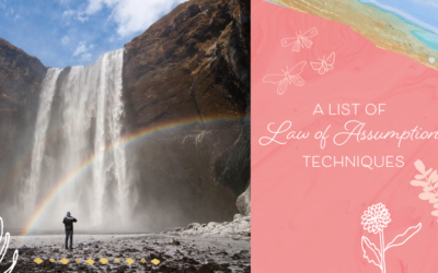 A List of Law of Assumption Techniques for Manifesting
